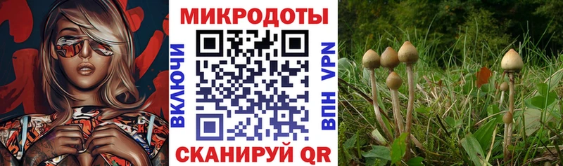 Псилоцибиновые грибы GOLDEN TEACHER  mega зеркало  Обь 